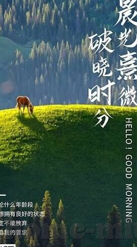 艾秋 麻豆文化传媒有限公司-艾秋与麻豆文化传媒的魅力交织，传统与创新并进的传承