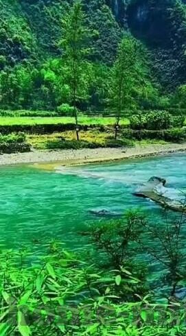 寂寞人妻-寂寞人妻，在婚姻缝隙中寻找光亮的微妙平衡